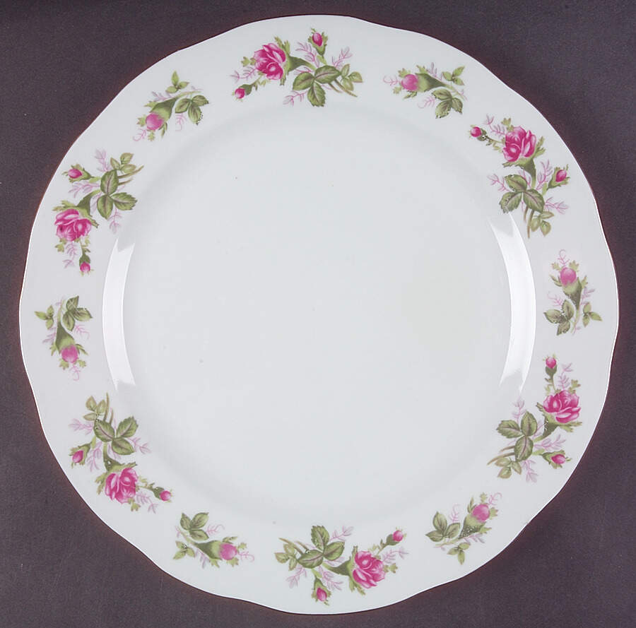 ADE1 Dinner Plate by Allied Design-1