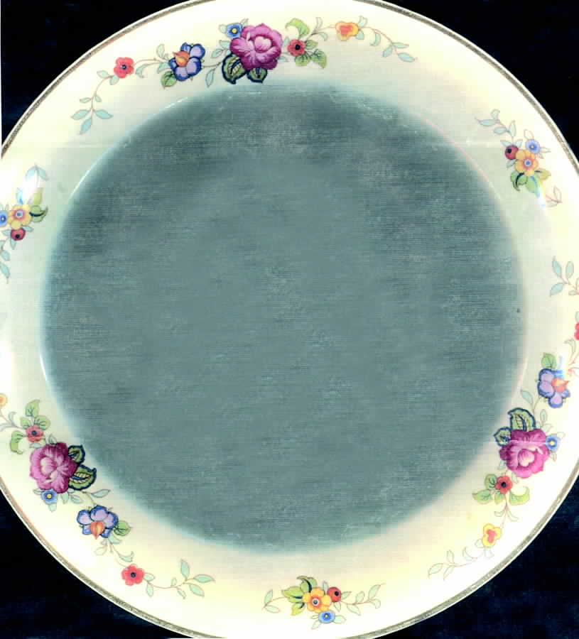 ATG8 Dinner Plate by Atlas Globe China Co-1