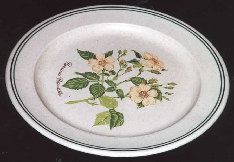 Wild Rose Dinner Plate by Anchor Hocking-1