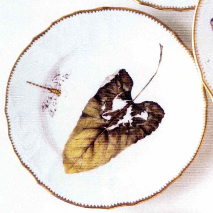Forest Leaf Salad Plate by Anna Weatherley-1