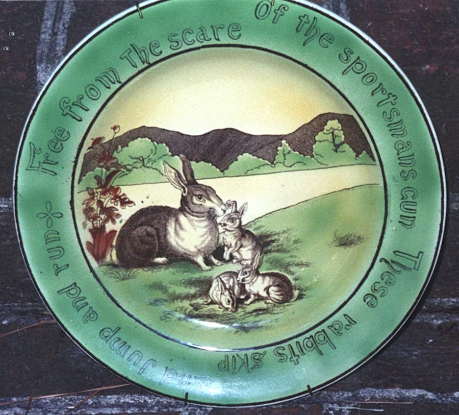 AUW1 Salad Plate by St Augustine Ware-1