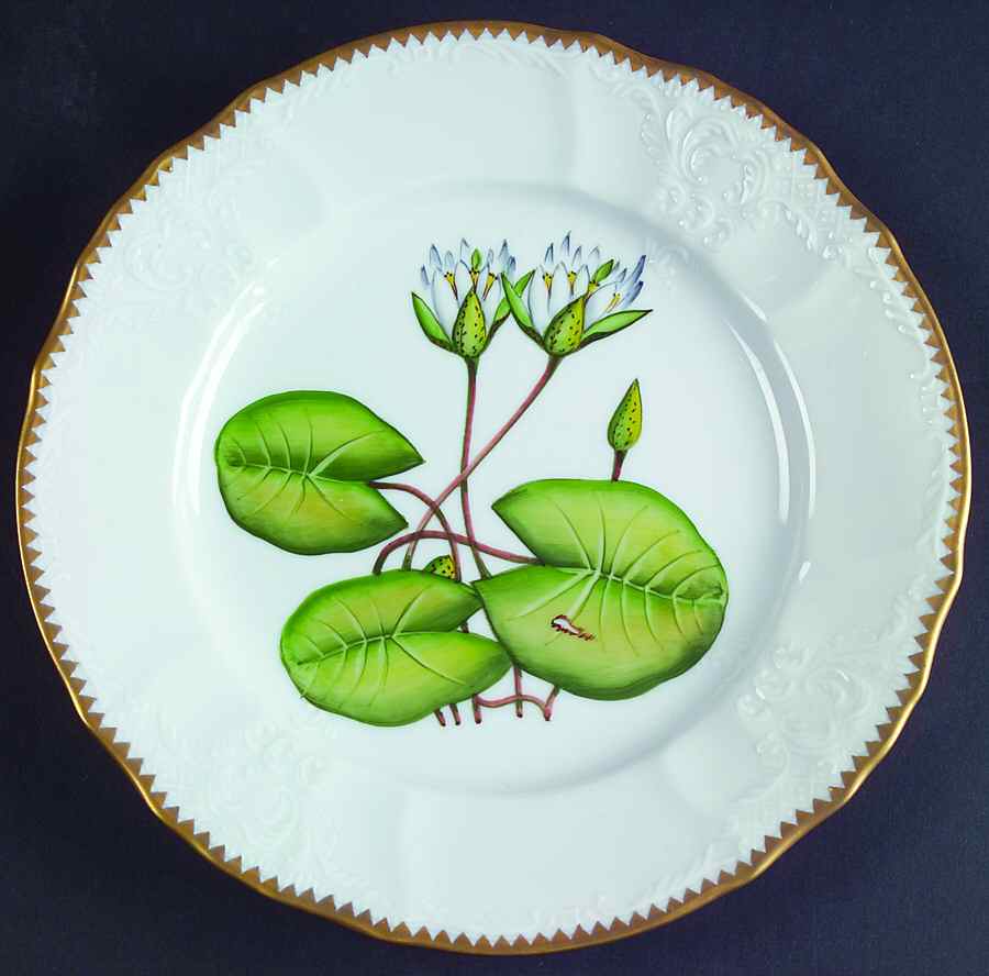 Waterlily Seascape Salad Plate by Anna Weatherley-1