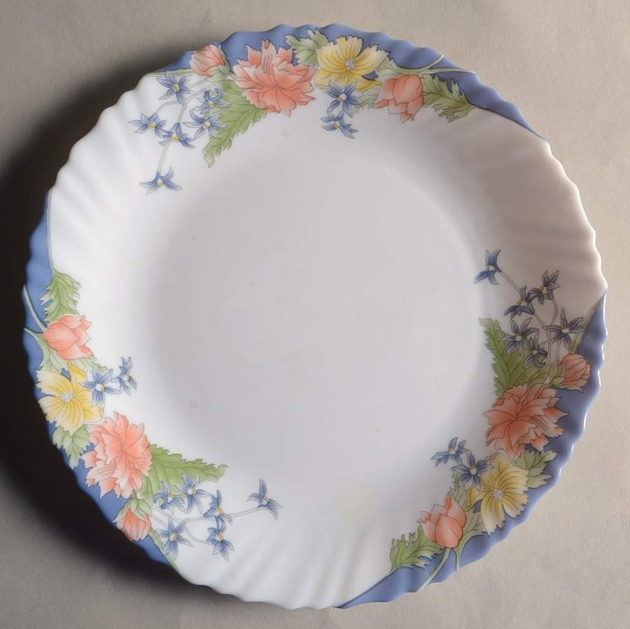 Florine Luncheon Plate by Arcopal-1