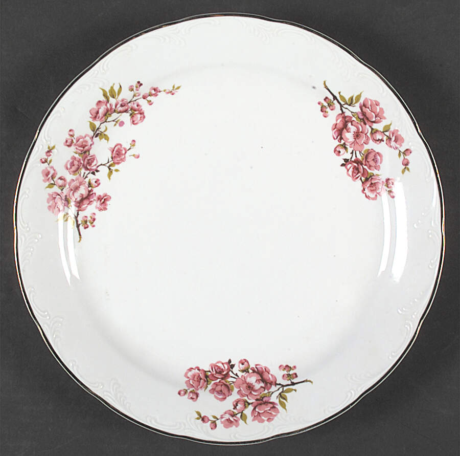 APO4 Dinner Plate by Arpo-1