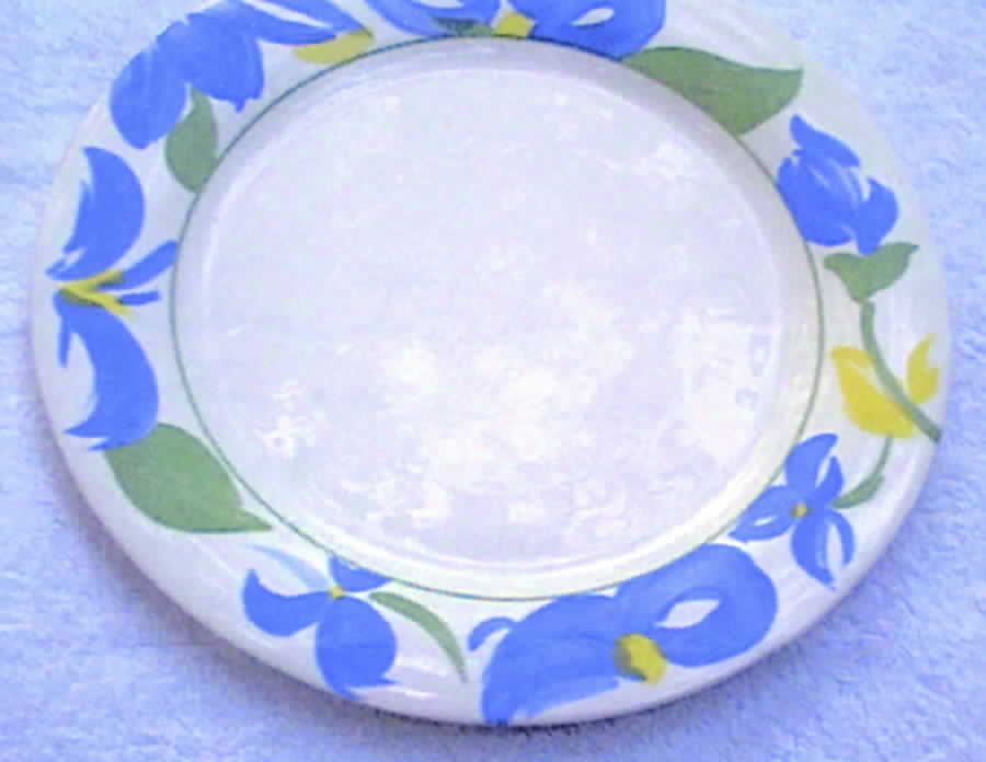 Prussian Blue Dinner Plate by Arcopal-1