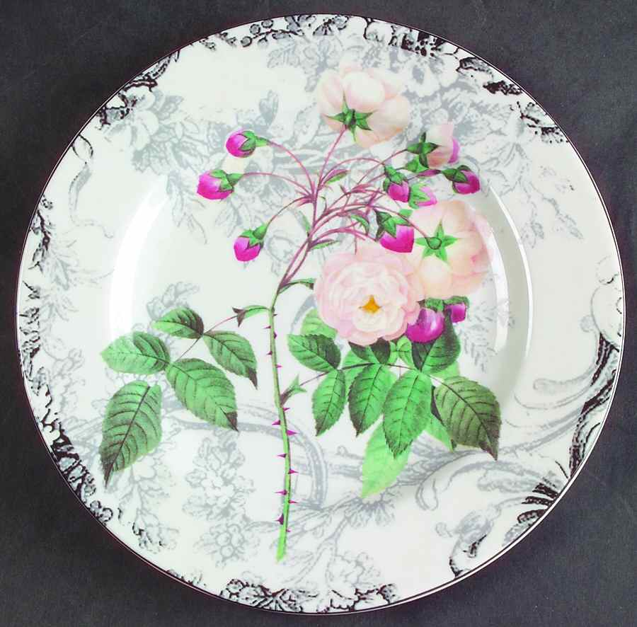 Rose Toile Salad Plate by American Atelier-1