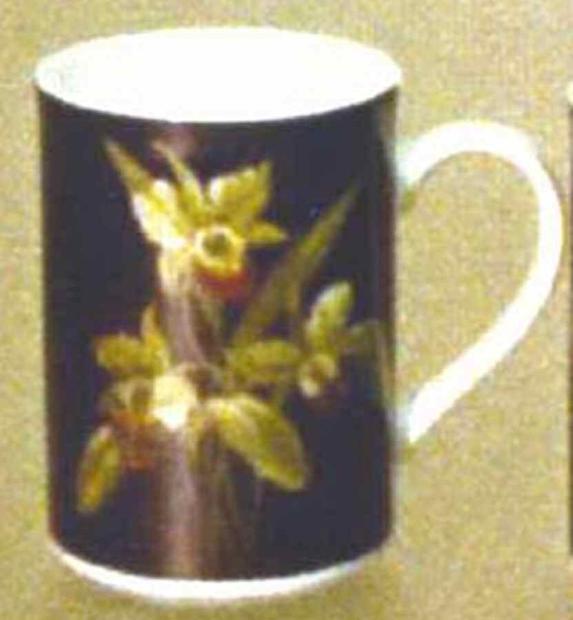 Floral Ecstacy Mug by American Atelier-1