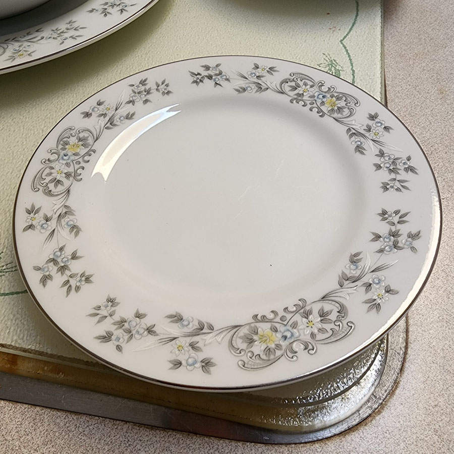 Concorde Dinner Plate by Arlen-1