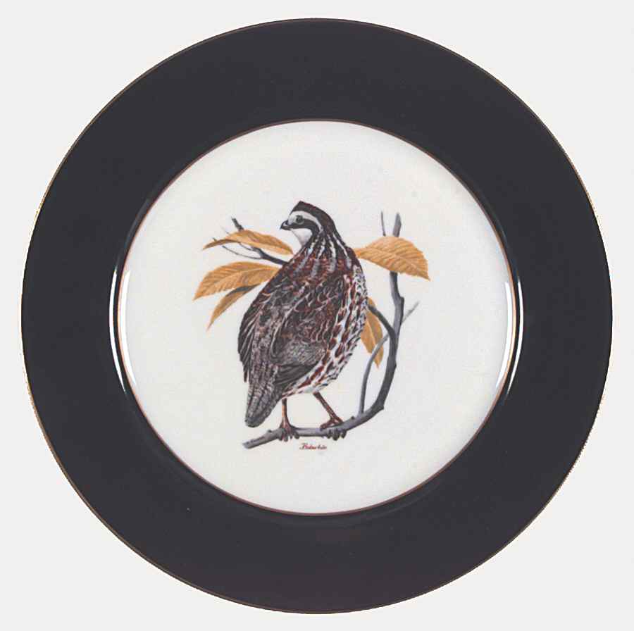 American Game Birds (Rim) Dinner Plate by American Manor-1