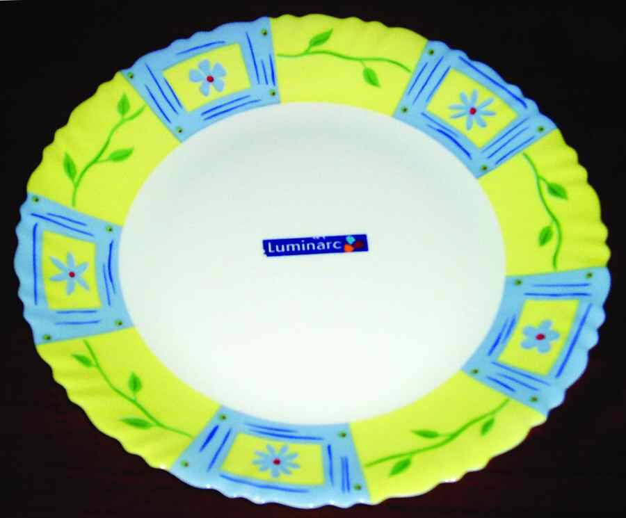 Catherine Dinner Plate by Arcopal-1