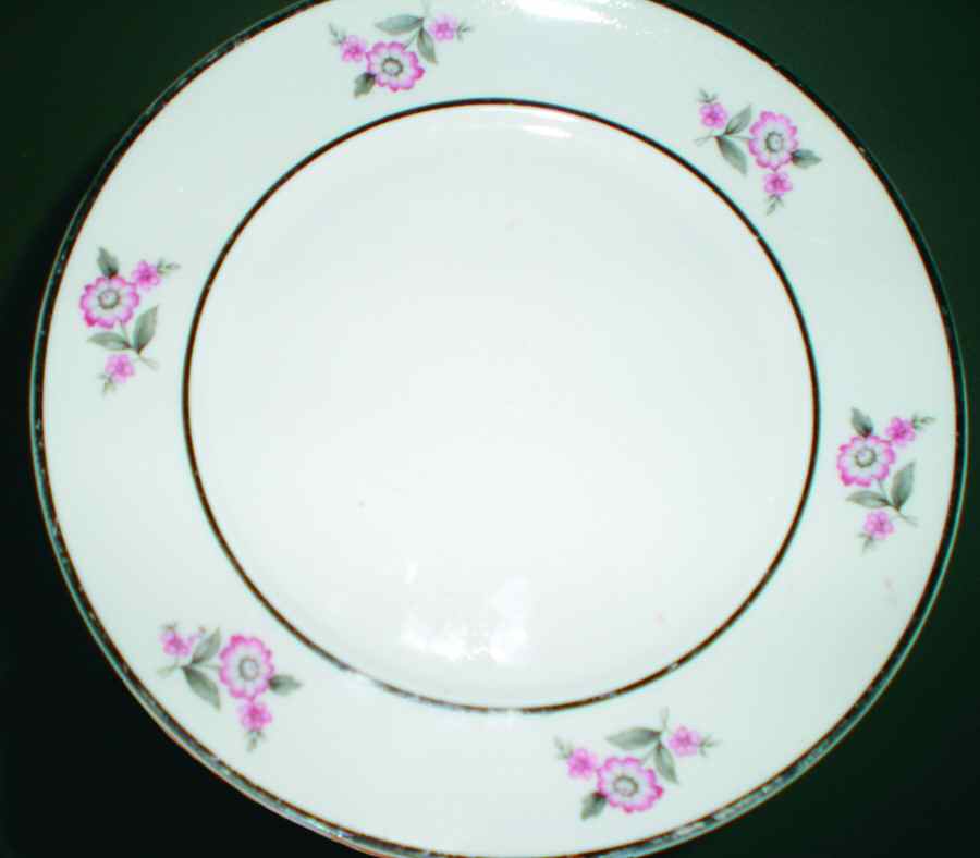 ARL7 Dinner Plate by Arlen-1