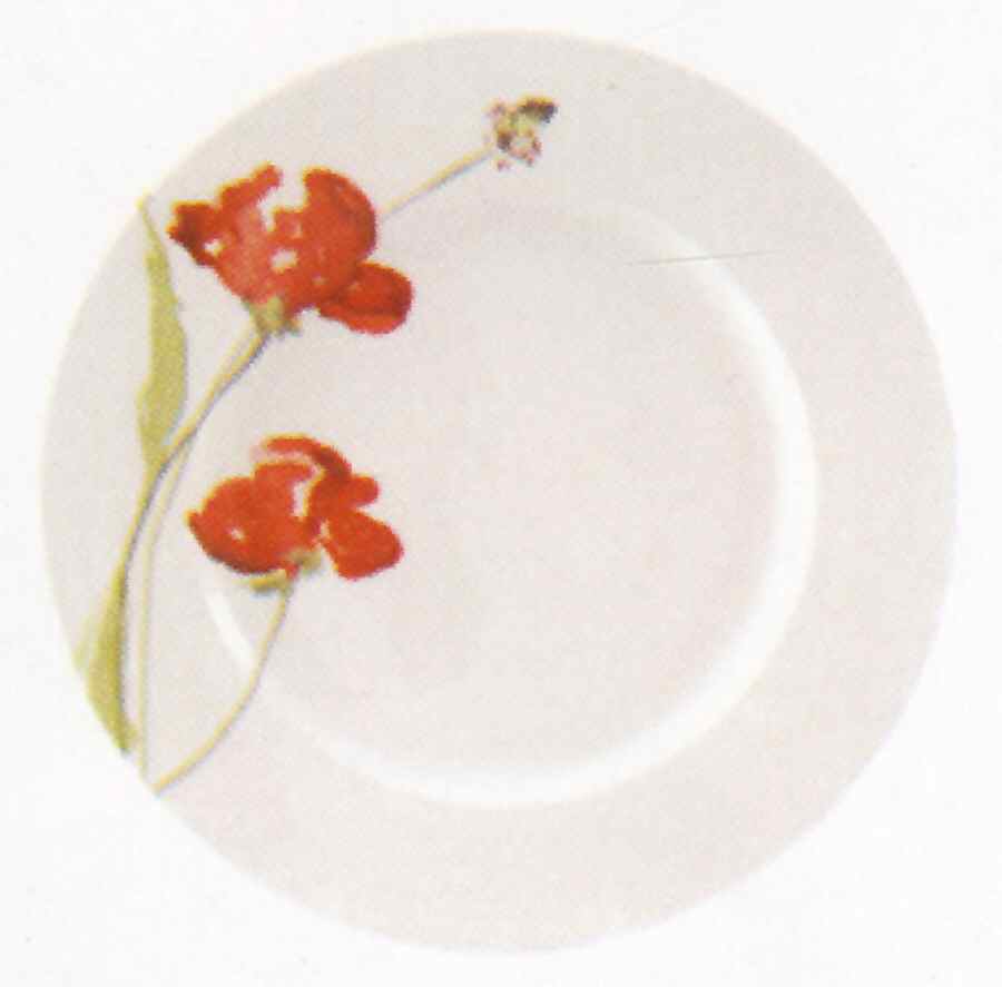 Meadow Dinner Plate by John  Aynsley & Sons-1