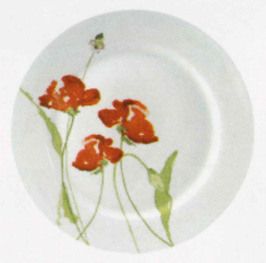 Meadow Service Plate (Charger) by John  Aynsley & Sons-1