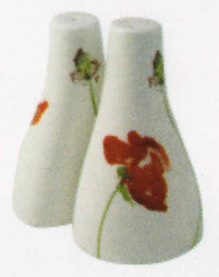 Meadow Salt & Pepper Set by John  Aynsley & Sons-1