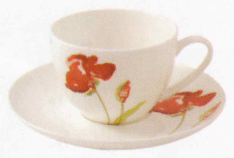 Meadow Flat Cup & Saucer Set by John  Aynsley & Sons-1