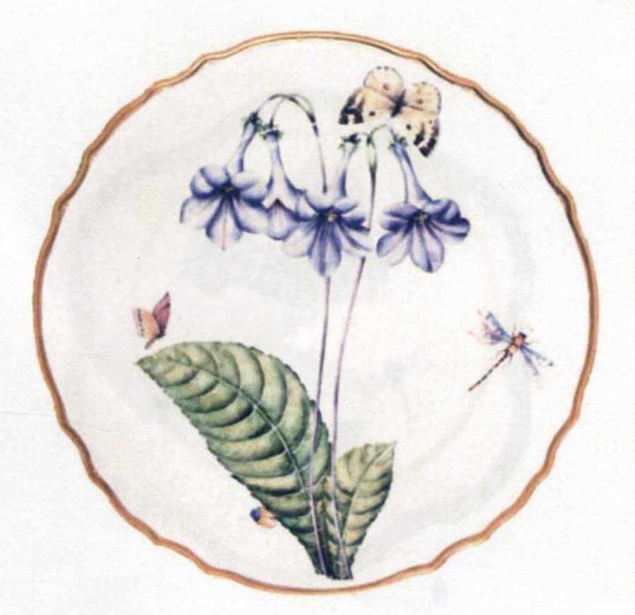 Botanical Studies Dinner Plate by Anna Weatherley-1