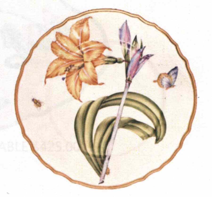 Botanical Studies Dinner Plate by Anna Weatherley-1