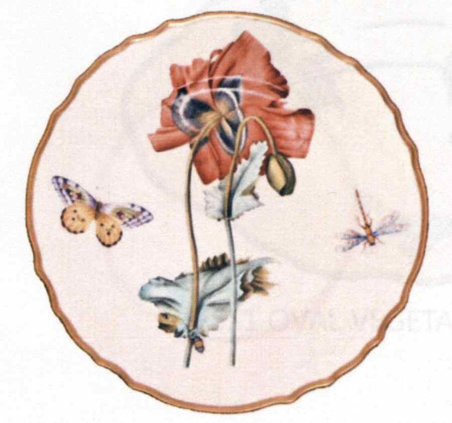Botanical Studies Dinner Plate by Anna Weatherley-1