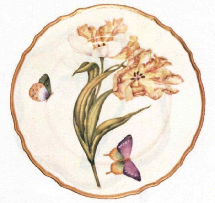 Botanical Studies Dinner Plate by Anna Weatherley-1