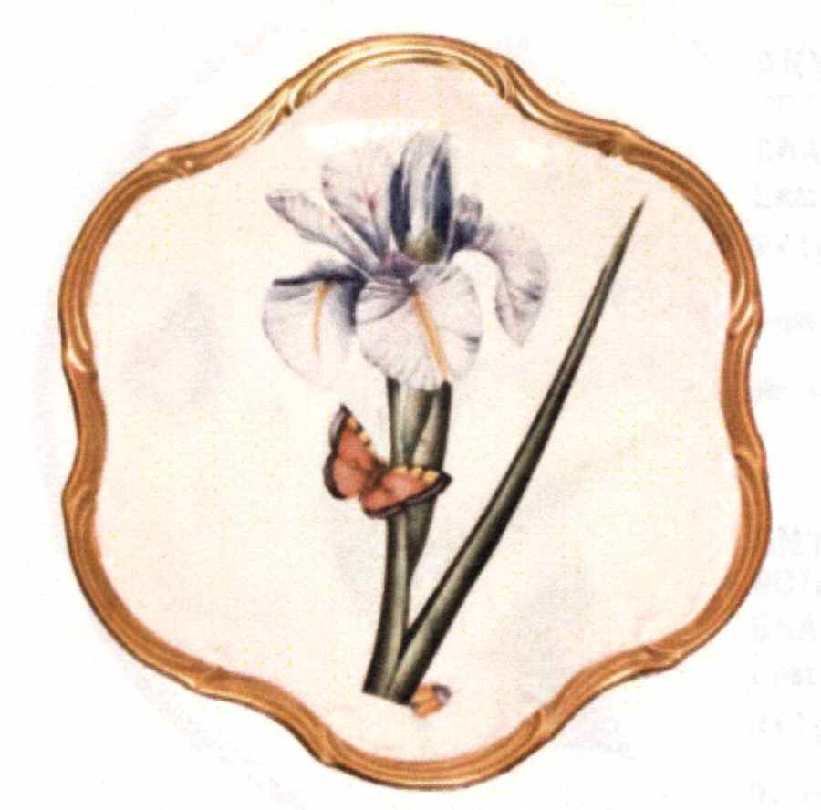 Botanical Studies Dessert/Pie Plate by Anna Weatherley-1