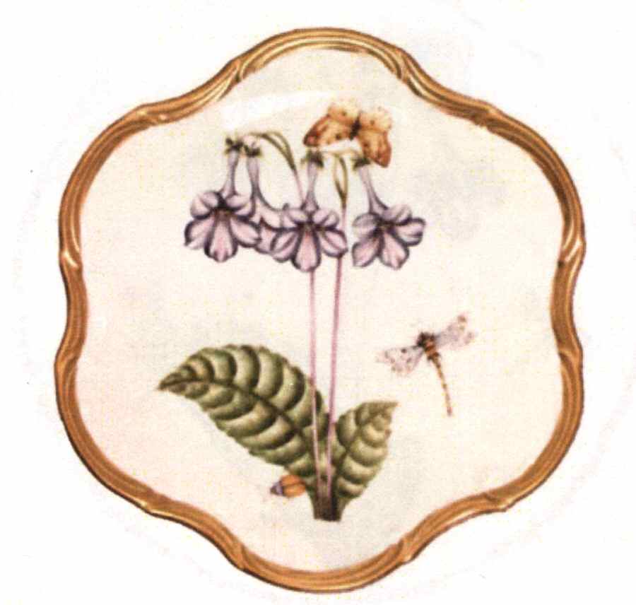 Botanical Studies Dessert/Pie Plate by Anna Weatherley-1