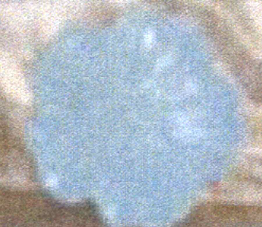 Petals Blue Bread & Butter Plate by American Atelier-1