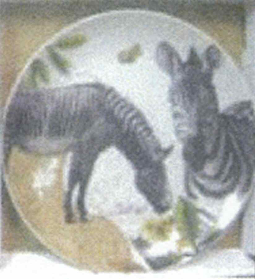 Safari Salad Plate by American Atelier-1