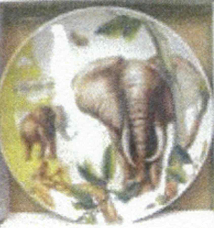 Safari Salad Plate by American Atelier-1