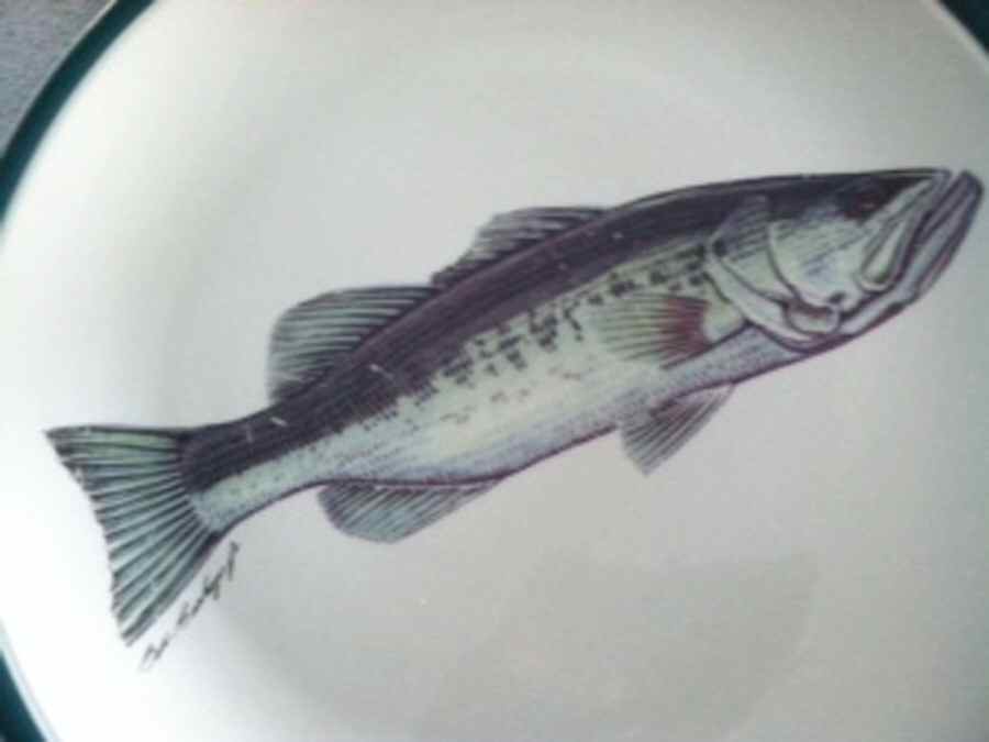 ANG4 Dinner Plate by Anglers Expressions-1