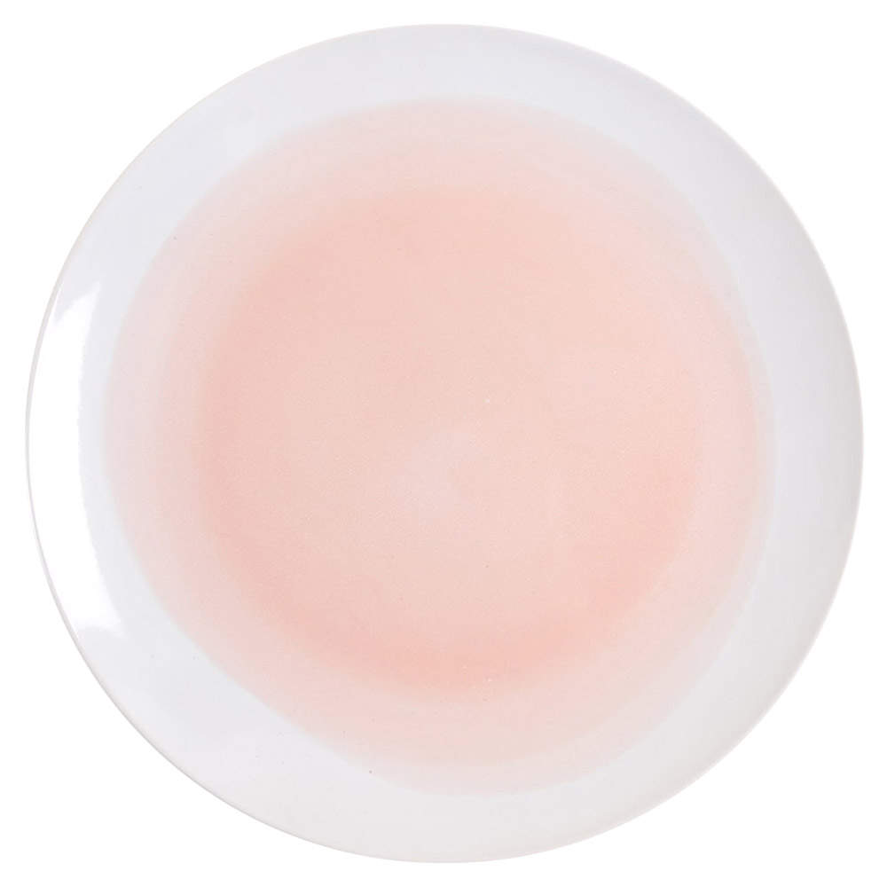 Oasis Pink Dinner Plate by American Atelier-1