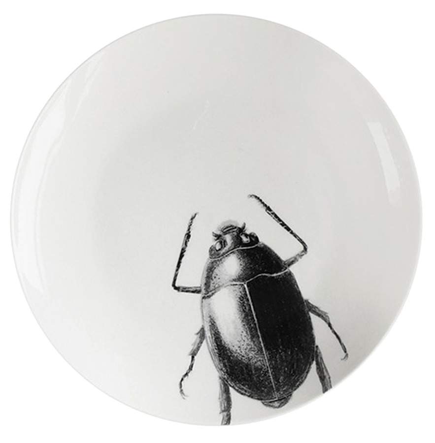 Beetle and Dragonfly Salad Plate by American Atelier-1