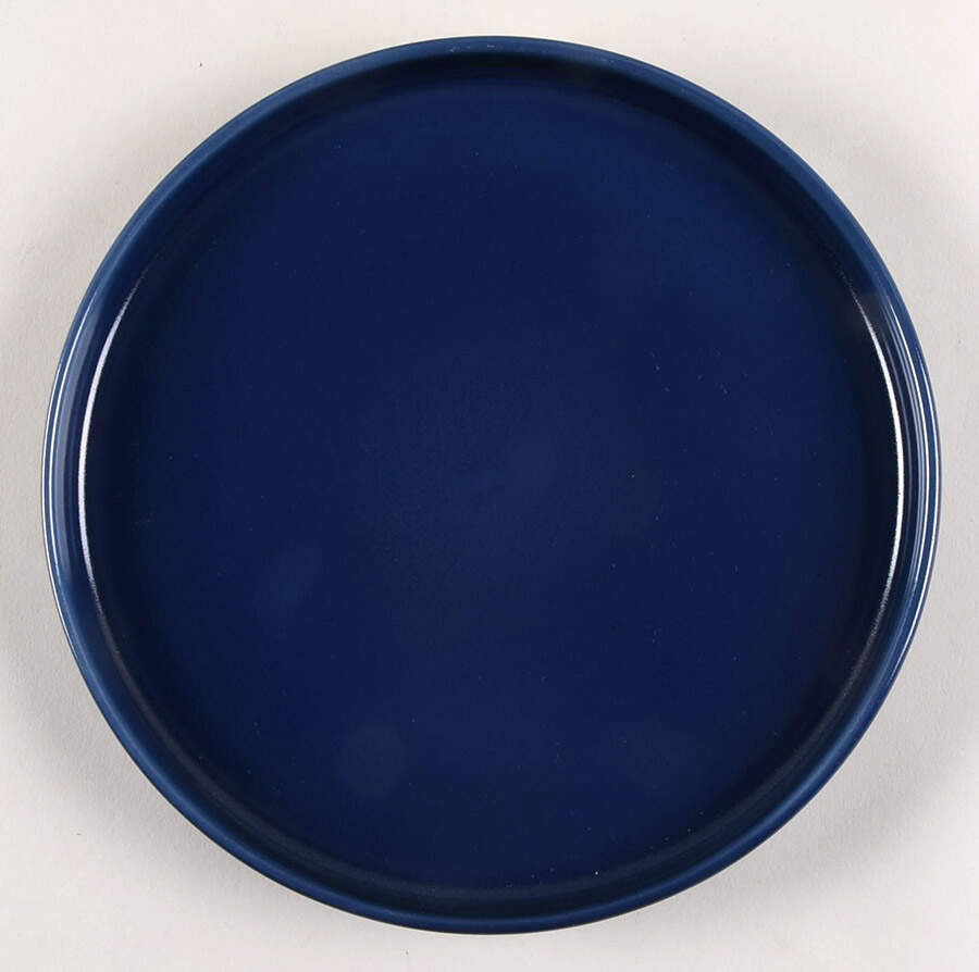 Kaden Navy Blue Dinner Plate by 222 Fifth (PTS)-1