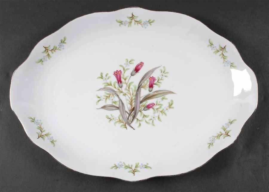 Dawn 16" Oval Serving Platter by Bellaire-1