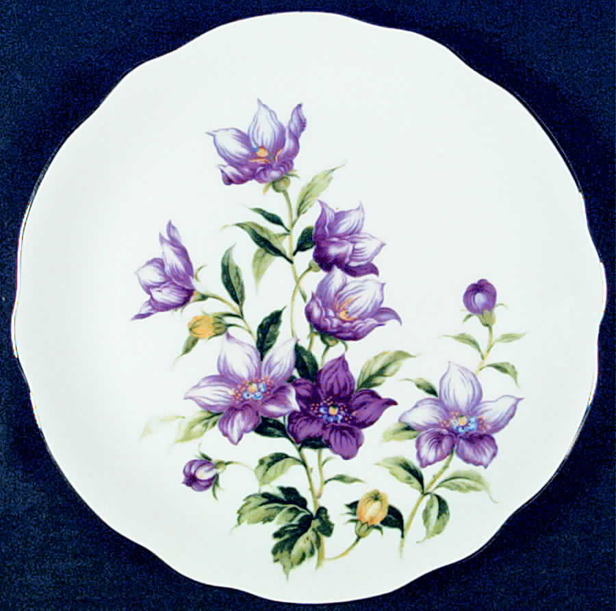 Vogue Dinner Plate by Bellaire-1