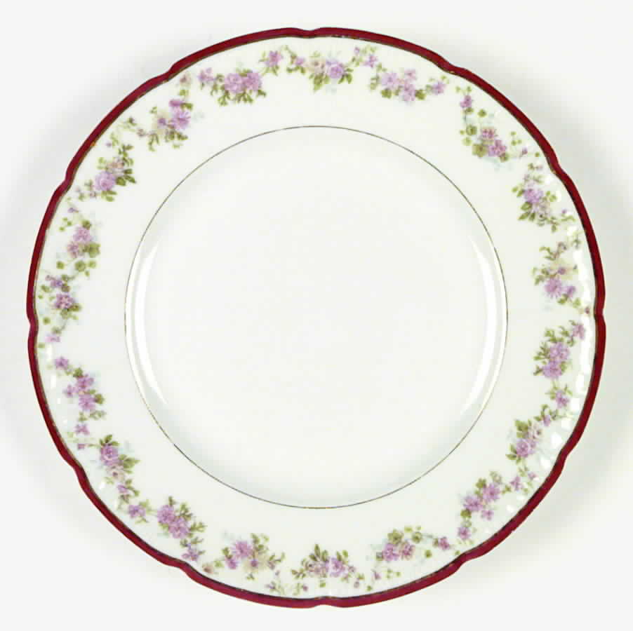 BER13 Dinner Plate by Bernardaud-1