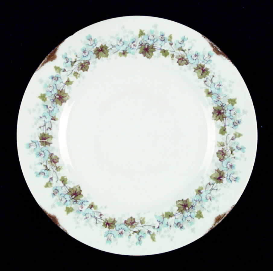 BER138 Salad Plate by Bernardaud-1
