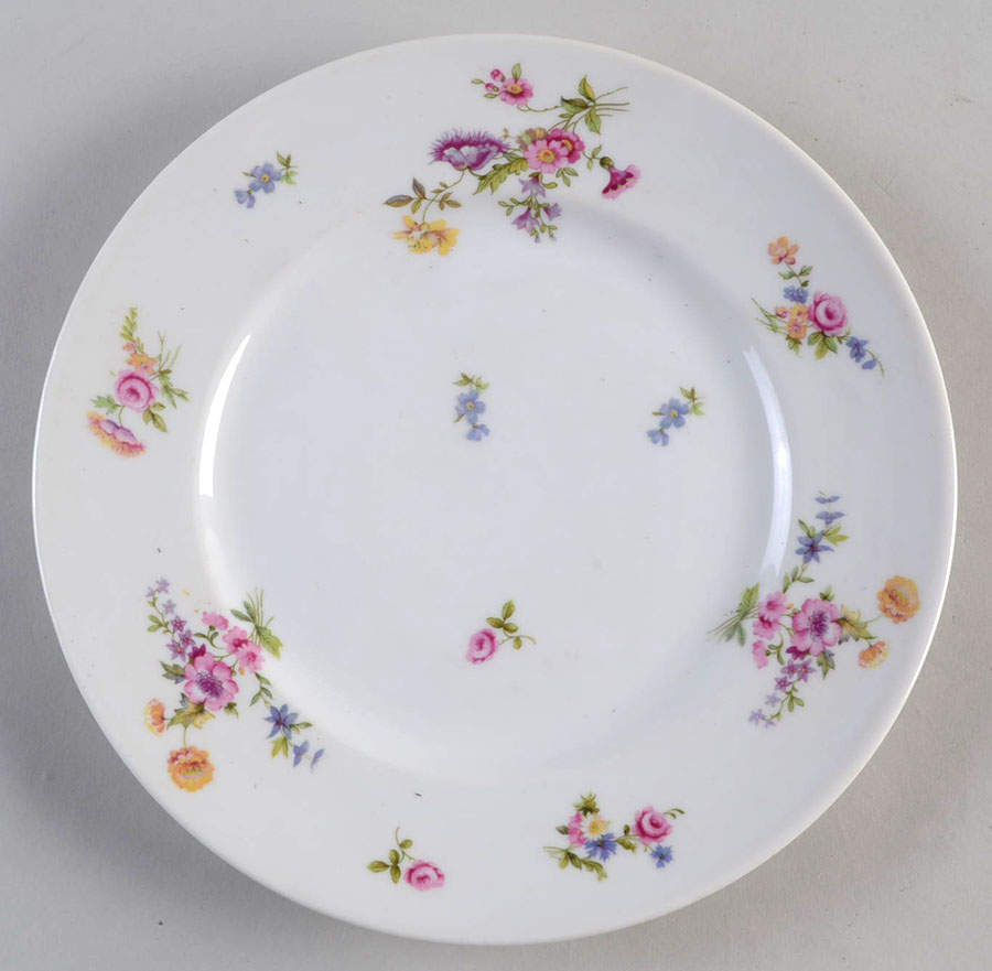 BER3 Dinner Plate by Bernardaud-1