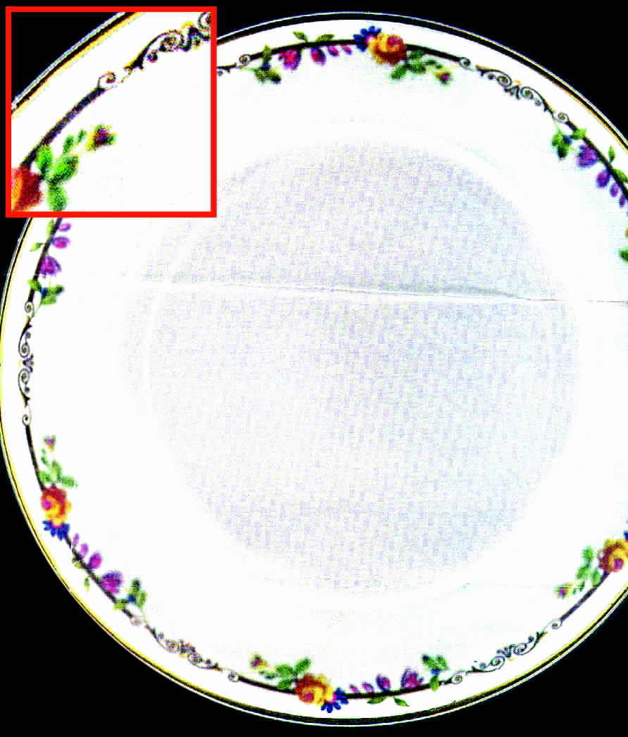 BER72 Dinner Plate by Bernardaud-1