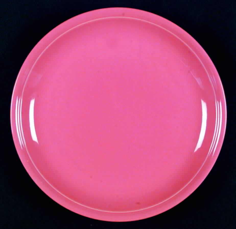 Rainbow Salmon Dinner Plate by Block-1