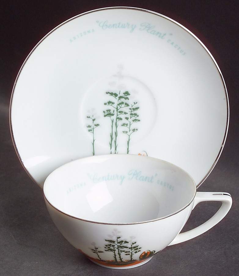 Arizona Cactus Flat Cup & Saucer Set by Blakely-1