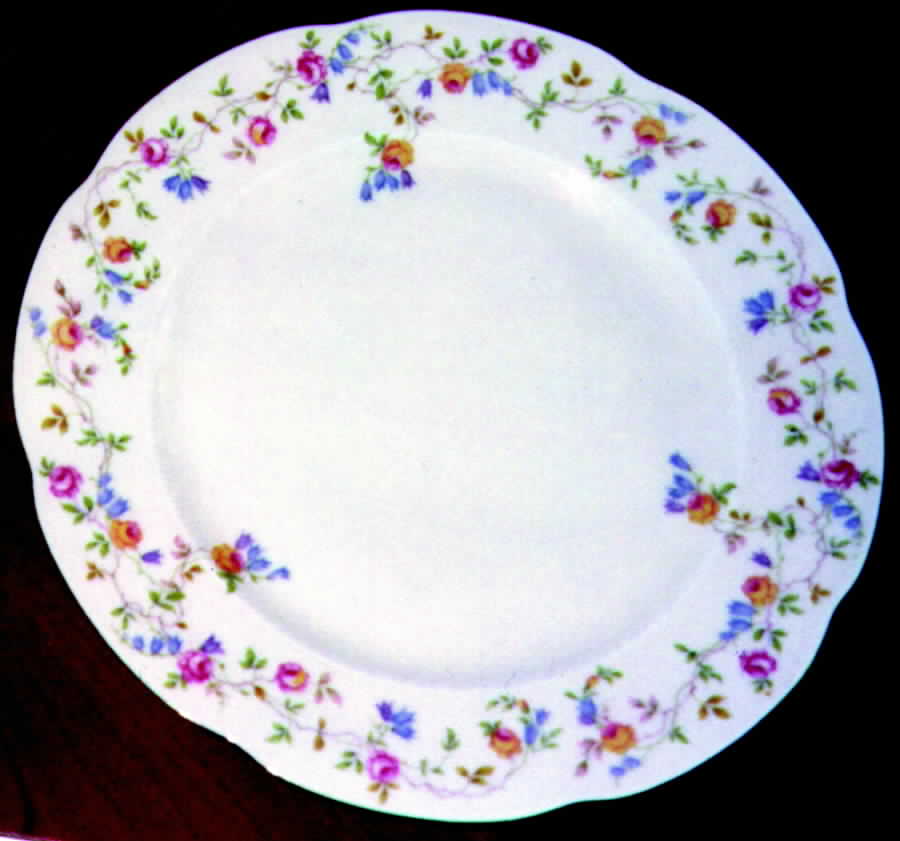 BOH23 Dinner Plate by Bohemia Ceramic Works-1