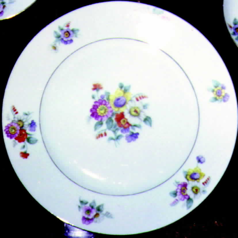 BOH34 Dinner Plate by Bohemia Ceramic Works-1