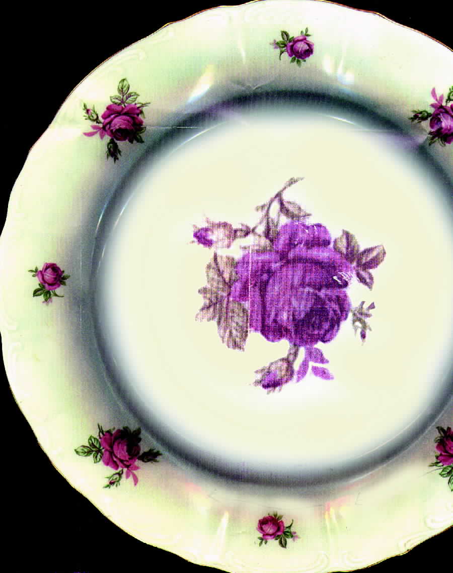 BOH56 Dinner Plate by Bohemia Ceramic Works-1