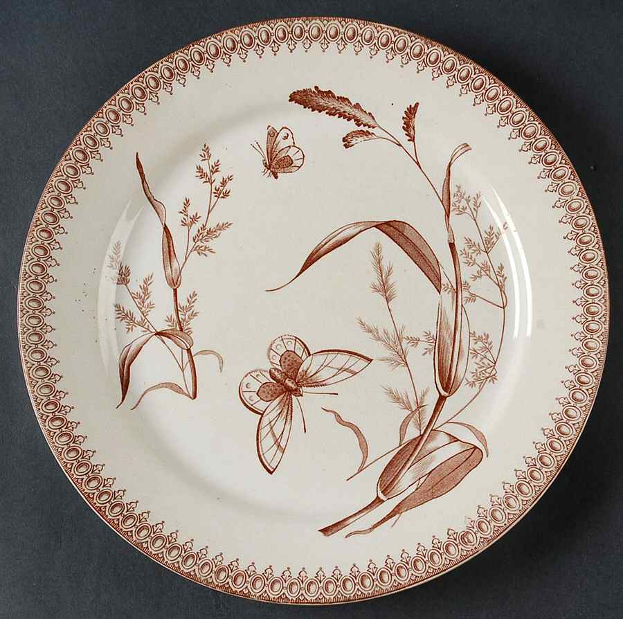 Summer Time Brown Dinner Plate by T & R Boote-1
