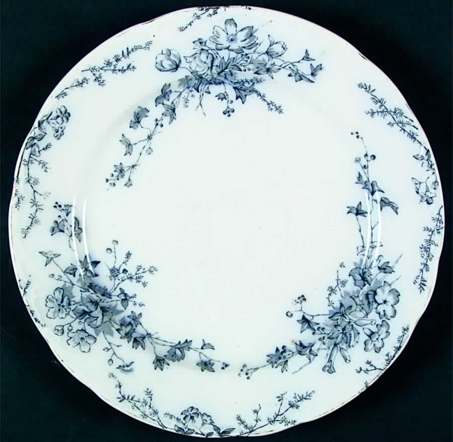 Anemone (No Trim) Dinner Plate by Bridgwood & Son-1