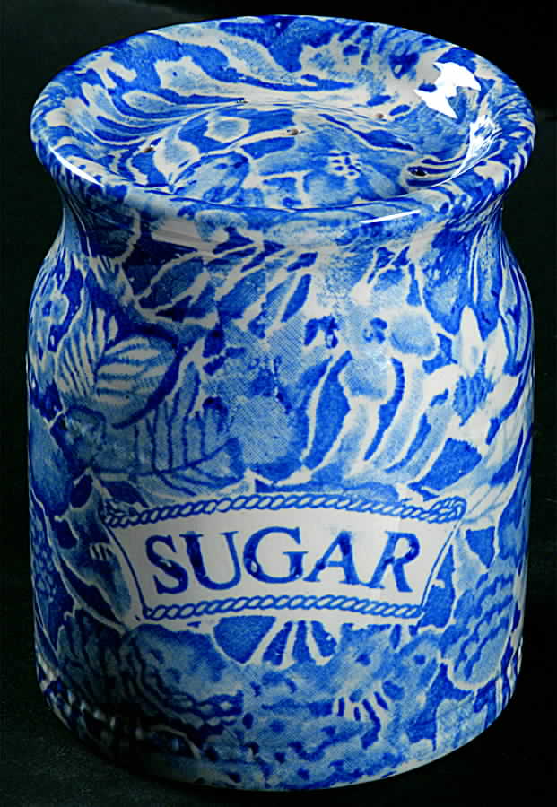 Scilla Blue Sugar Shaker by Burgess & Leigh-1