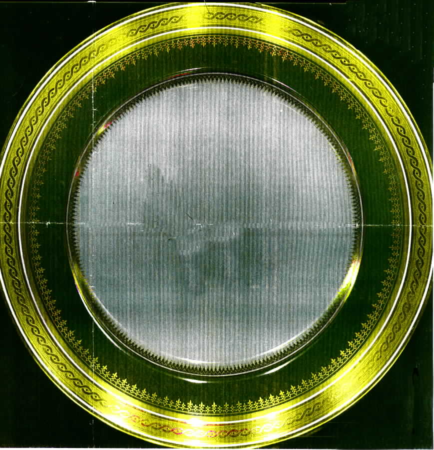 BER173 Dinner Plate by Bernardaud-1