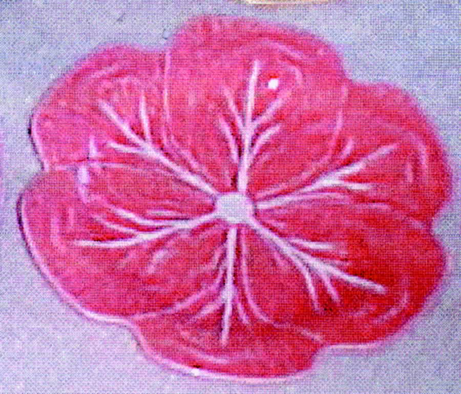 Cabbage Peach Dinner Plate by Bordallo Pinheiro-1