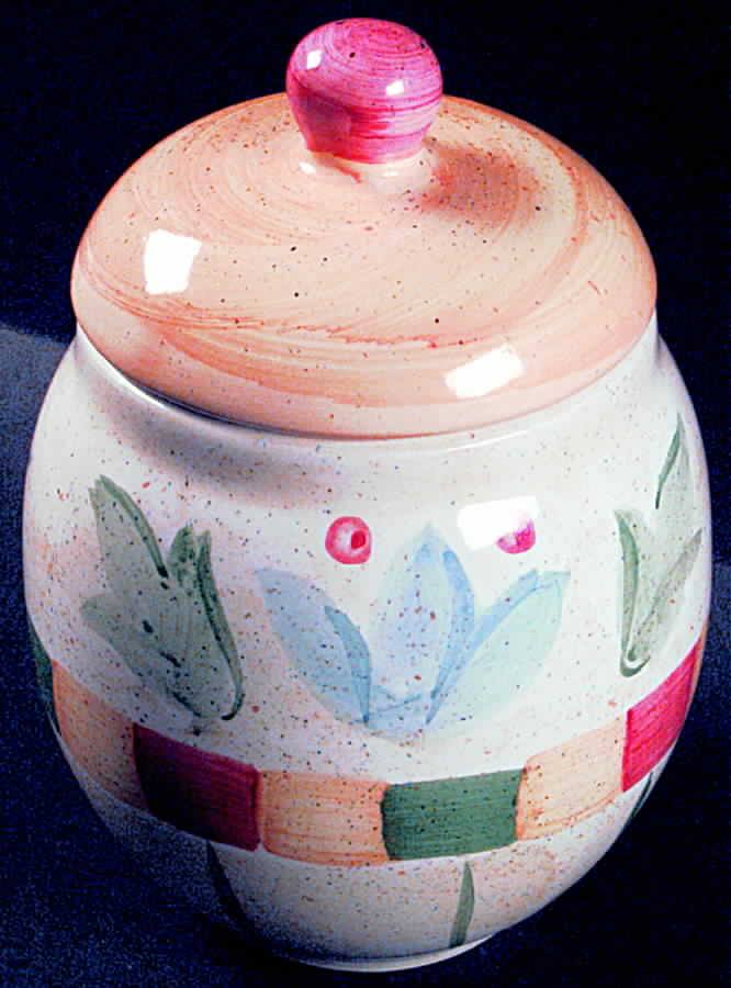 Corsica Small Canister & Lid by Bella-1