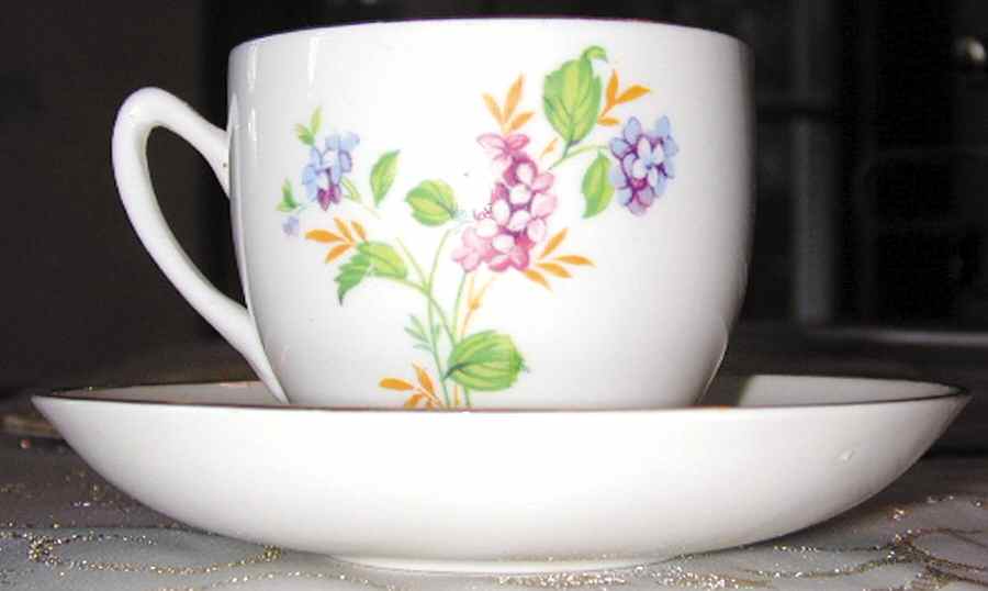 Byh1 Flat Cup & Saucer Set by Blyth Porcelain Co-1